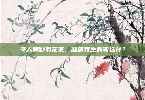 冬天喝野菊花茶,健康养生的新选择?