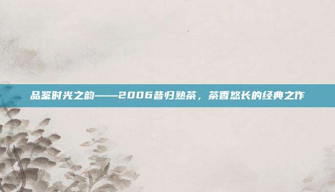 品鉴时光之韵——2006昔归熟茶,茶香悠长的经典之作