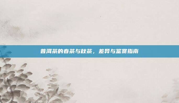 普洱茶的春茶与秋茶,差异与鉴赏指南