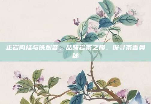 正岩肉桂与铁观音，品味岩茶之巅，探寻茶香奥秘