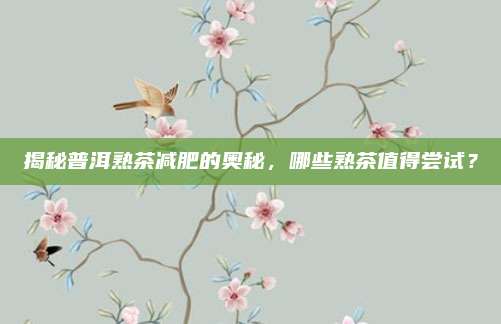 揭秘普洱熟茶减肥的奥秘，哪些熟茶值得尝试？
