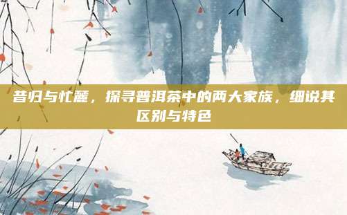 昔归与忙麓，探寻普洱茶中的两大家族，细说其区别与特色