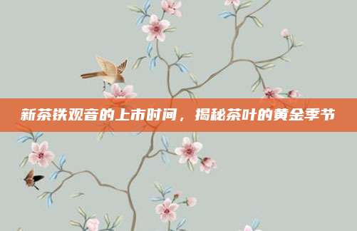 新茶铁观音的上市时间，揭秘茶叶的黄金季节