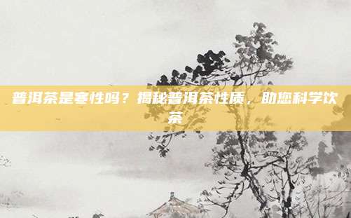 普洱茶是寒性吗？揭秘普洱茶性质，助您科学饮茶