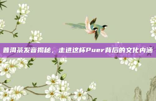 普洱茶发音揭秘，走进这杯Puer背后的文化内涵