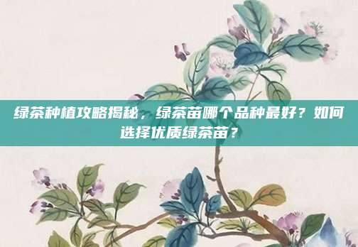 绿茶种植攻略揭秘，绿茶苗哪个品种最好？如何选择优质绿茶苗？