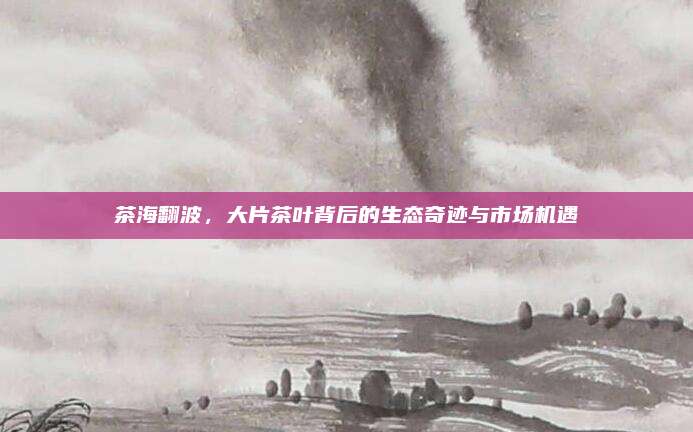 茶海翻波，大片茶叶背后的生态奇迹与市场机遇