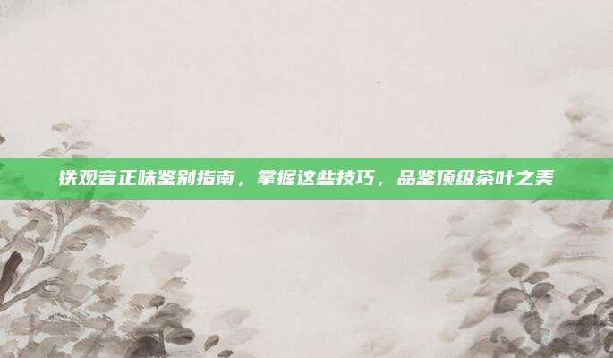 铁观音正味鉴别指南，掌握这些技巧，品鉴顶级茶叶之美