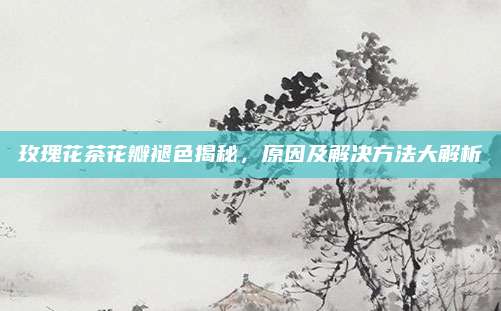 玫瑰花茶花瓣褪色揭秘，原因及解决方法大解析