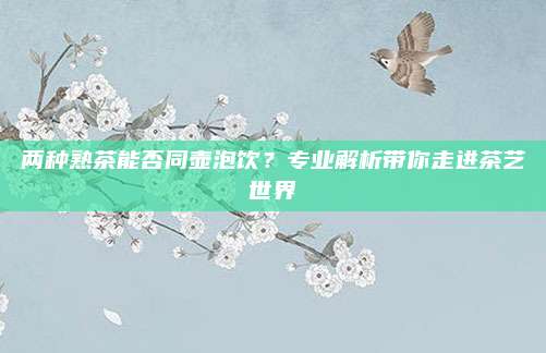 两种熟茶能否同壶泡饮？专业解析带你走进茶艺世界