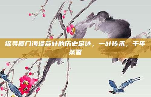 探寻厦门海堤茶叶的历史足迹，一叶传承，千年茶香