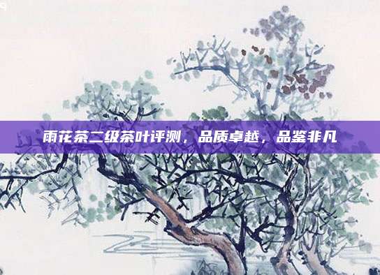 雨花茶二级茶叶评测,品质卓越,品鉴非凡