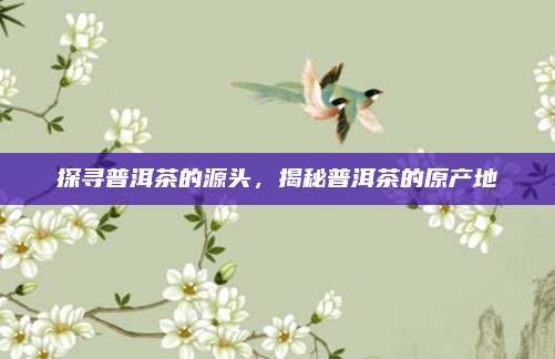 探寻普洱茶的源头,揭秘普洱茶的原产地