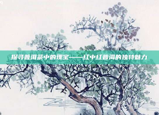 探寻普洱茶中的瑰宝——红中红普洱的独特魅力