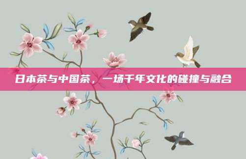 日本茶与中国茶，一场千年文化的碰撞与融合