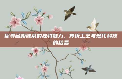 探寻名崂绿茶的独特魅力，传统工艺与现代科技的结晶