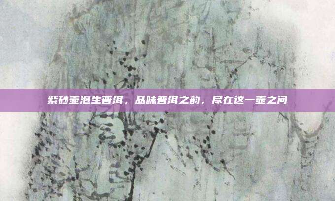 紫砂壶泡生普洱，品味普洱之韵，尽在这一壶之间