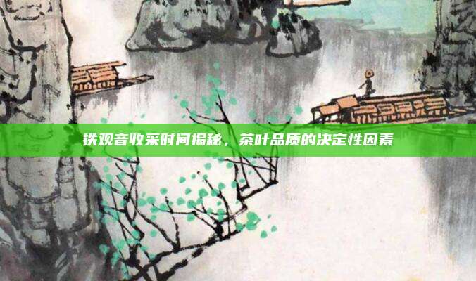 铁观音收采时间揭秘,茶叶品质的决定性因素