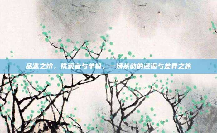 品鉴之辨,铁观音与单枞,一场茶韵的邂逅与差异之旅