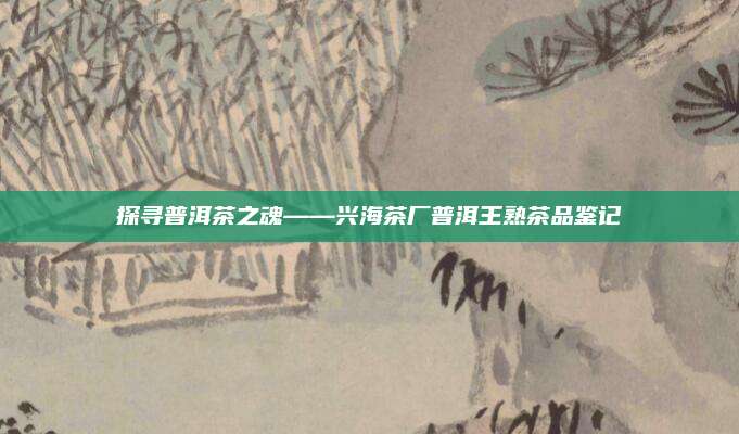 探寻普洱茶之魂——兴海茶厂普洱王熟茶品鉴记