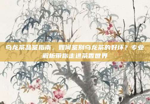乌龙茶品鉴指南,如何鉴别乌龙茶的好坏?专业解析带你走进茶香世界