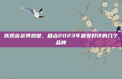 铁观音茶界翘楚，盘点2023年最受好评的几个品牌