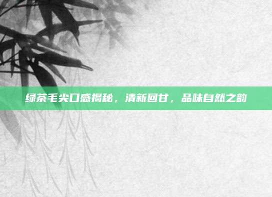 绿茶毛尖口感揭秘，清新回甘，品味自然之韵