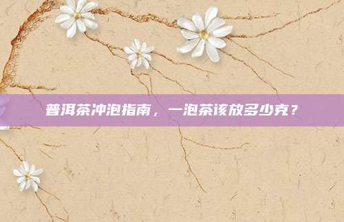 普洱茶冲泡指南，一泡茶该放多少克？