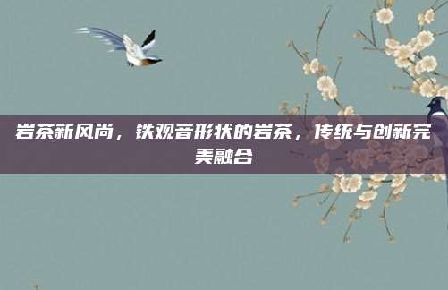 岩茶新风尚，铁观音形状的岩茶，传统与创新完美融合