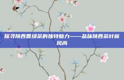 探寻陕西香绿茶的独特魅力——品味陕西茶叶新风尚
