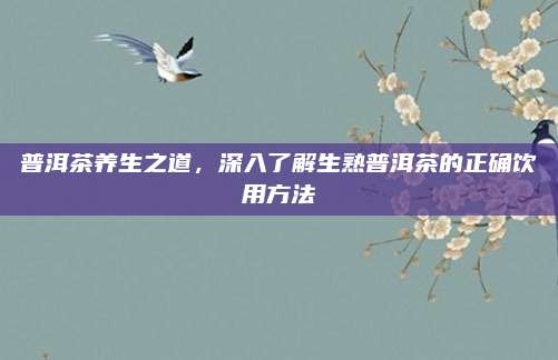 普洱茶养生之道，深入了解生熟普洱茶的正确饮用方法