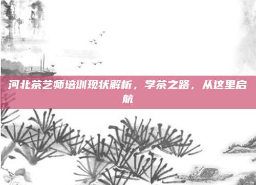 河北茶艺师培训现状解析，学茶之路，从这里启航