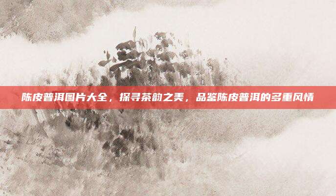 陈皮普洱图片大全，探寻茶韵之美，品鉴陈皮普洱的多重风情
