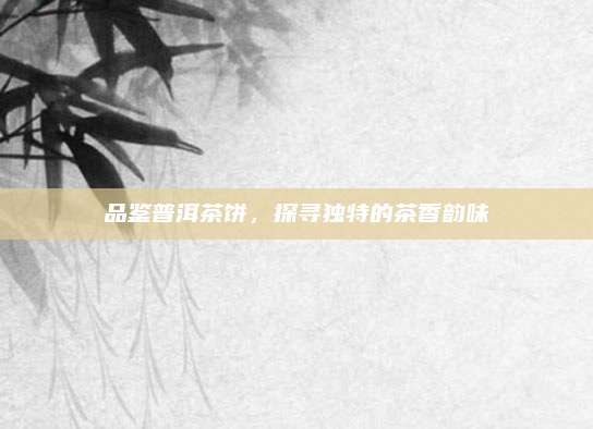 品鉴普洱茶饼，探寻独特的茶香韵味