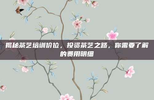 揭秘茶艺培训价位，投资茶艺之路，你需要了解的费用明细