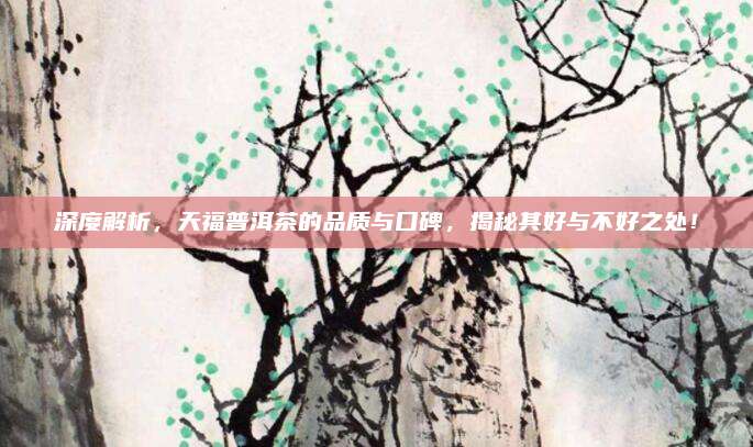 深度解析，天福普洱茶的品质与口碑，揭秘其好与不好之处！