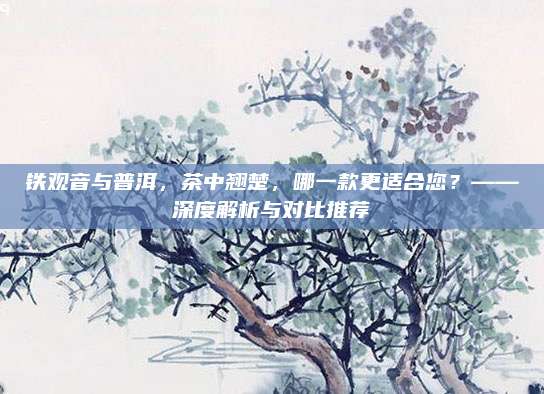 铁观音与普洱，茶中翘楚，哪一款更适合您？——深度解析与对比推荐