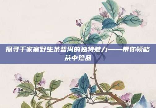 探寻千家寨野生茶普洱的独特魅力——带你领略茶中珍品