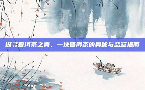探寻普洱茶之美，一块普洱茶的奥秘与品鉴指南