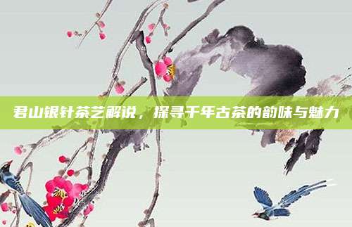 君山银针茶艺解说，探寻千年古茶的韵味与魅力