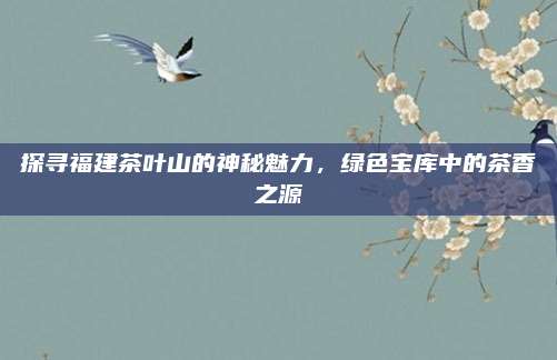 探寻福建茶叶山的神秘魅力，绿色宝库中的茶香之源