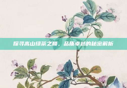 探寻高山绿茶之巅，品质卓越的秘密解析