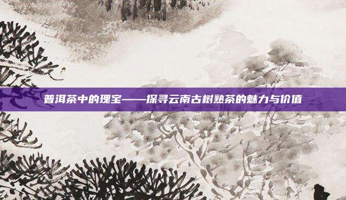 普洱茶中的瑰宝——探寻云南古树熟茶的魅力与价值