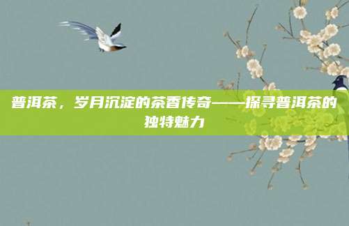 普洱茶，岁月沉淀的茶香传奇——探寻普洱茶的独特魅力