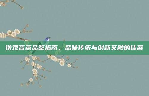 铁观音茶品鉴指南，品味传统与创新交融的佳茗