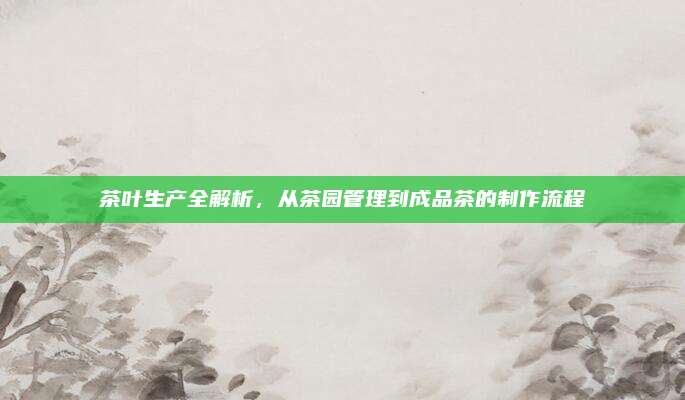 茶叶生产全解析，从茶园管理到成品茶的制作流程