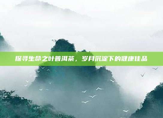 探寻生命之叶普洱茶，岁月沉淀下的健康佳品