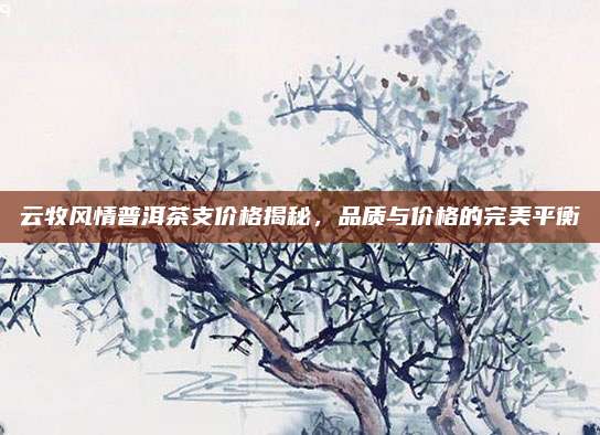 云牧风情普洱茶支价格揭秘,品质与价格的完美平衡