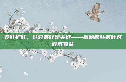 养肝护肝,选对茶叶是关键——揭秘哪些茶叶对肝脏有益