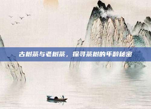 古树茶与老树茶，探寻茶树的年龄秘密